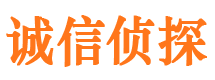 荔波私家调查公司